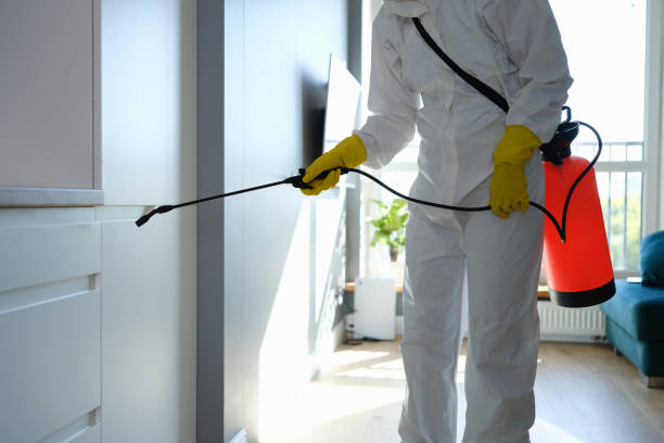 Best Mold Odor Removal Services  in Nicollet, MN